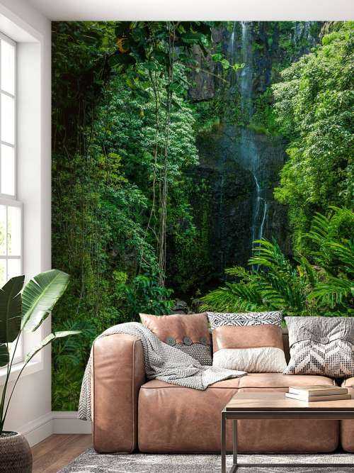Jungle and stones
