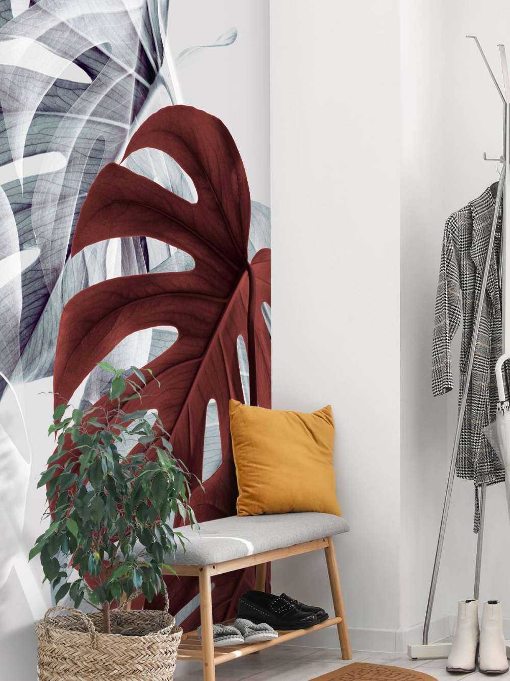 Monstera Creative 18