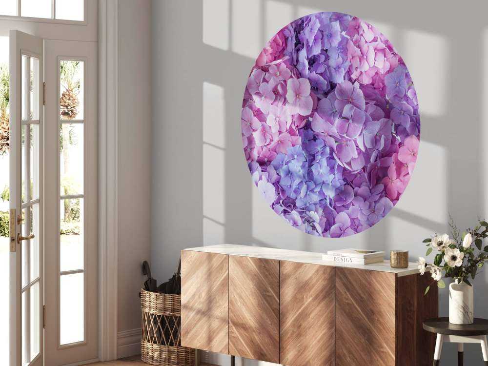 Colorful hydrangeas