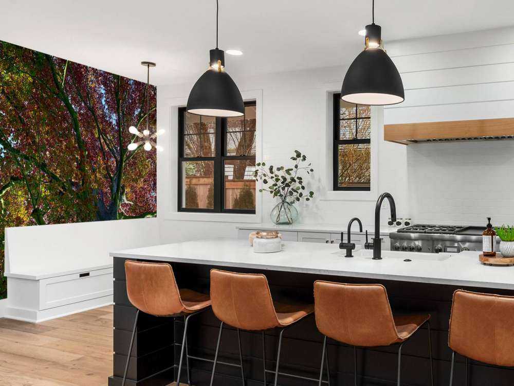 Boom met gekleurde bladeren