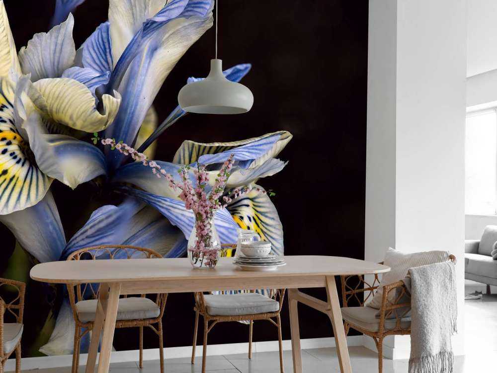 Blue Irises
