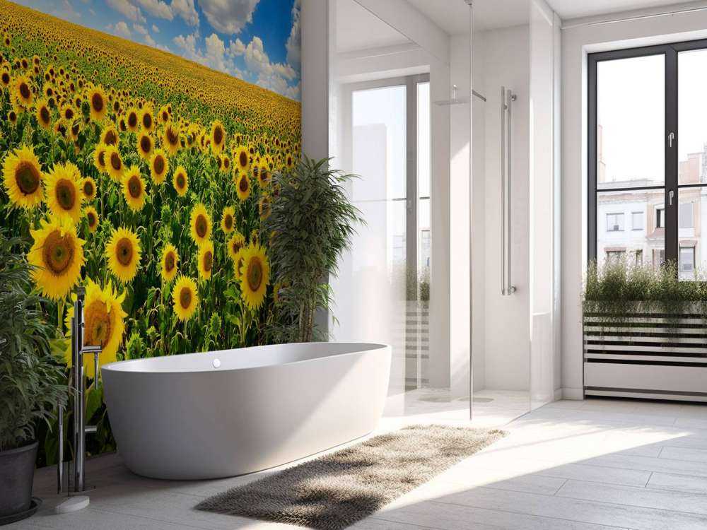 Zonnebloemveld onder een heldere lucht