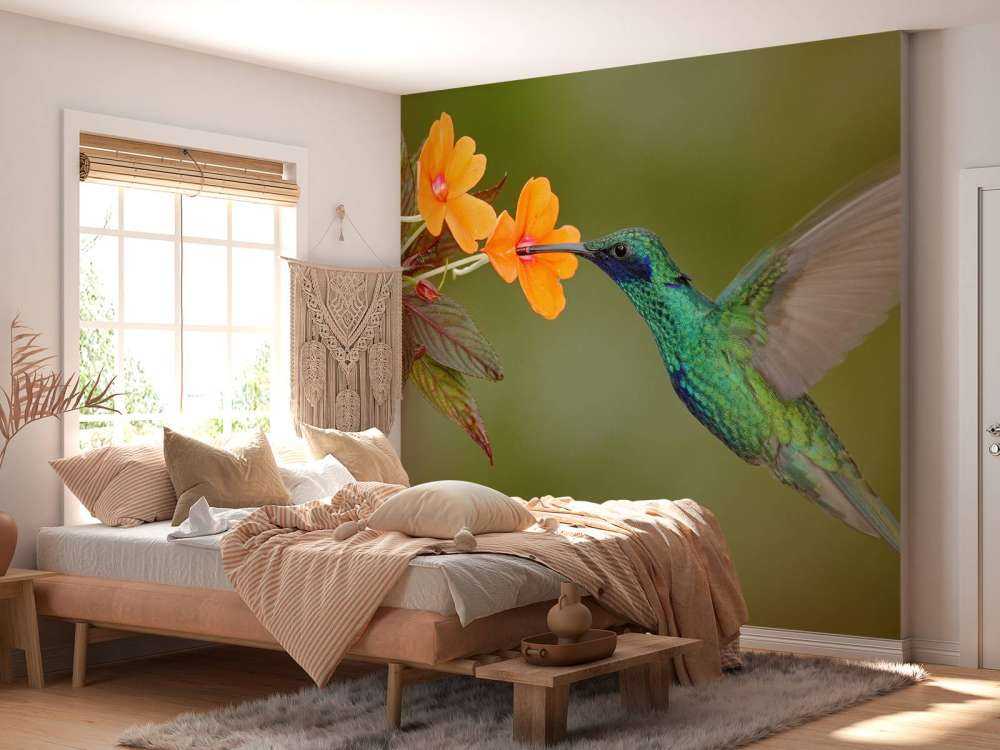 Kleurrijke Kolibrie op Bloem