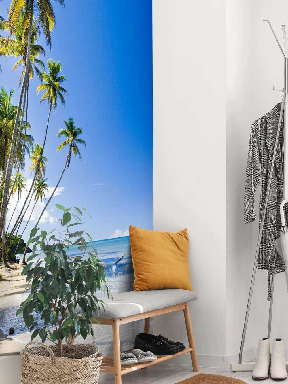 North coast of Trinidad