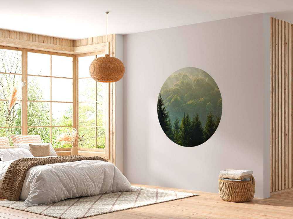 Sunbeams over the forest