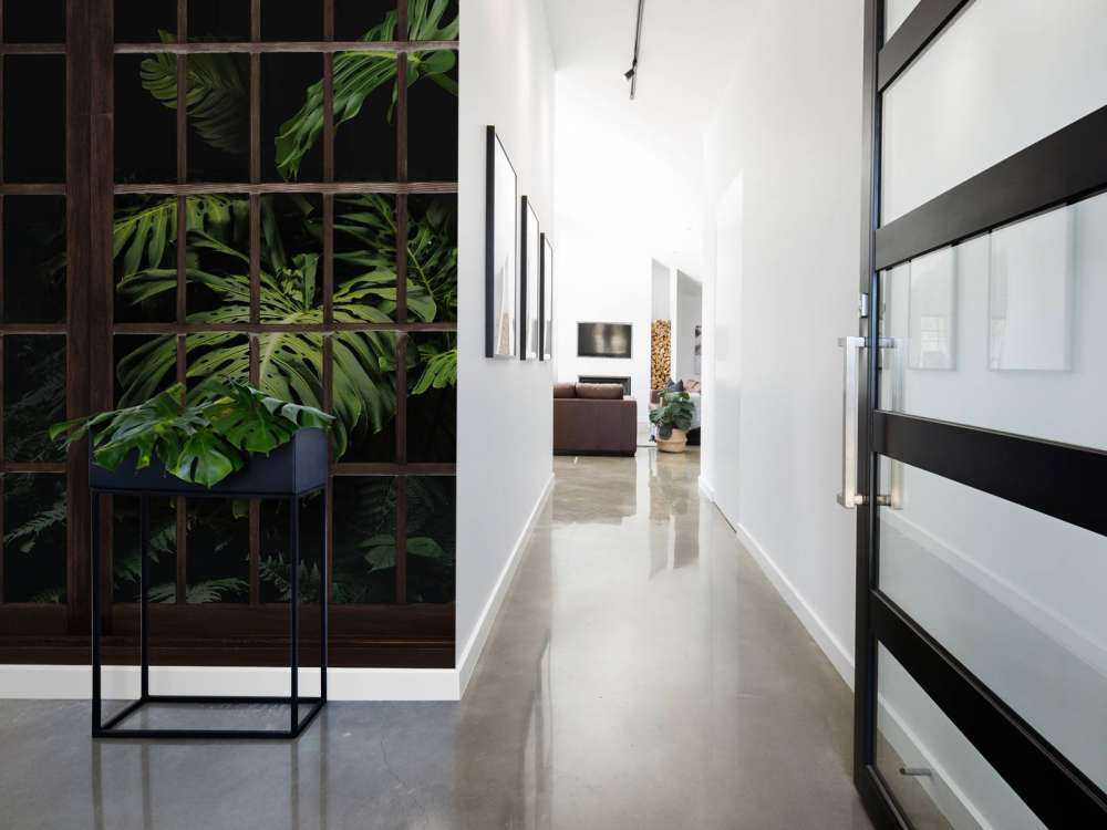 Botanical plants behind windows