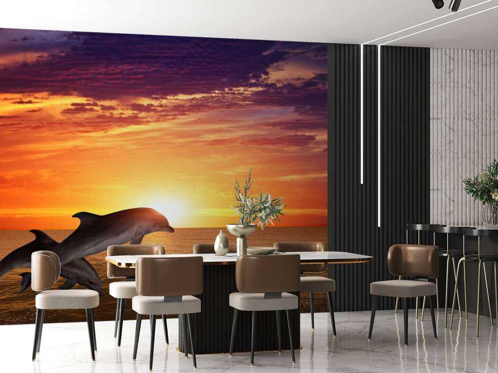 Dolphins in evening sun