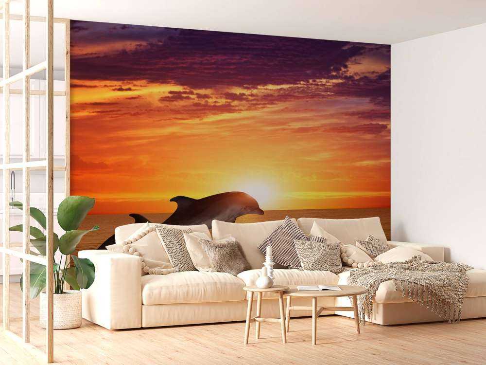 Dolphins in evening sun