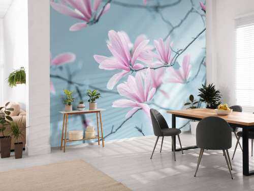 Magnolia flowers