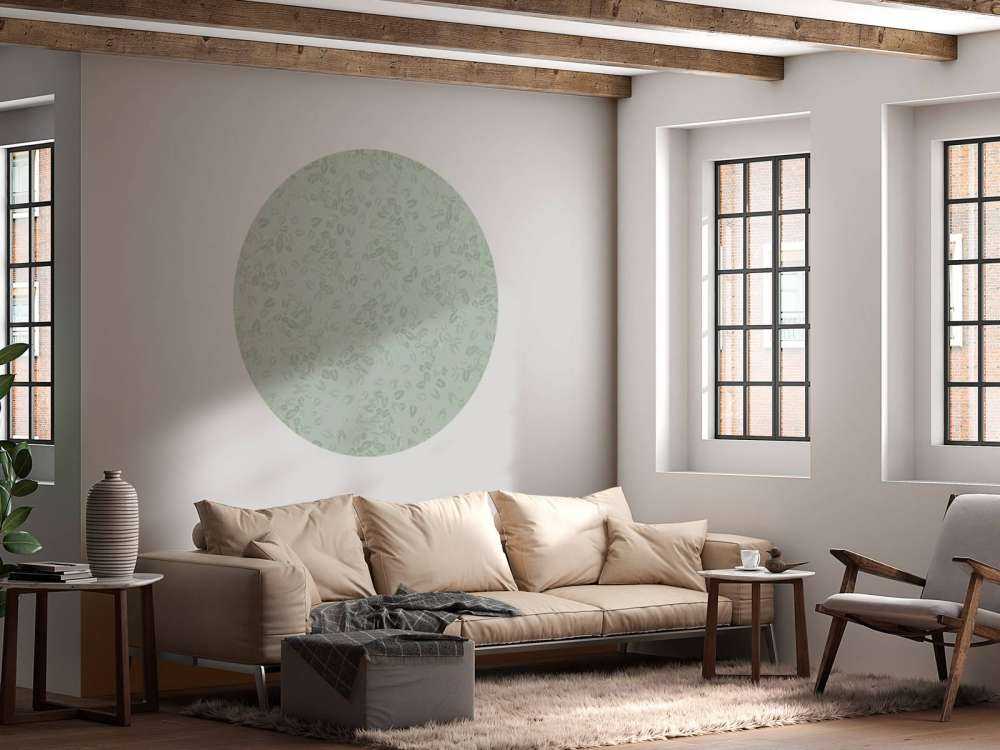 Small leaves on grey green