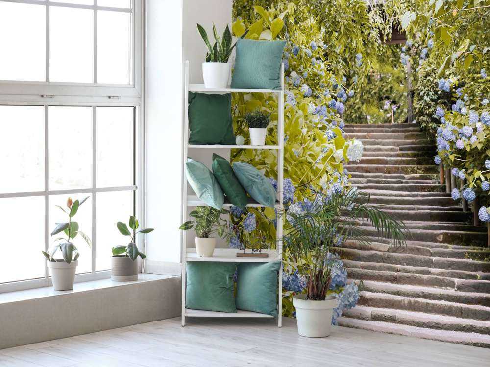 Blue flowers in park