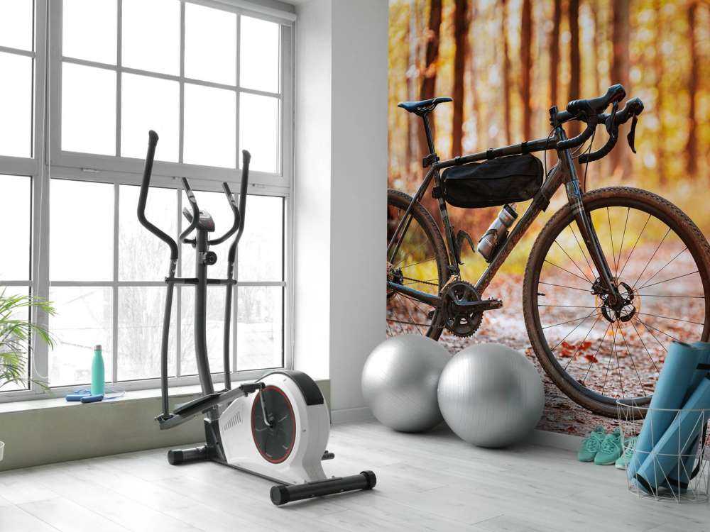 Bike in autumn