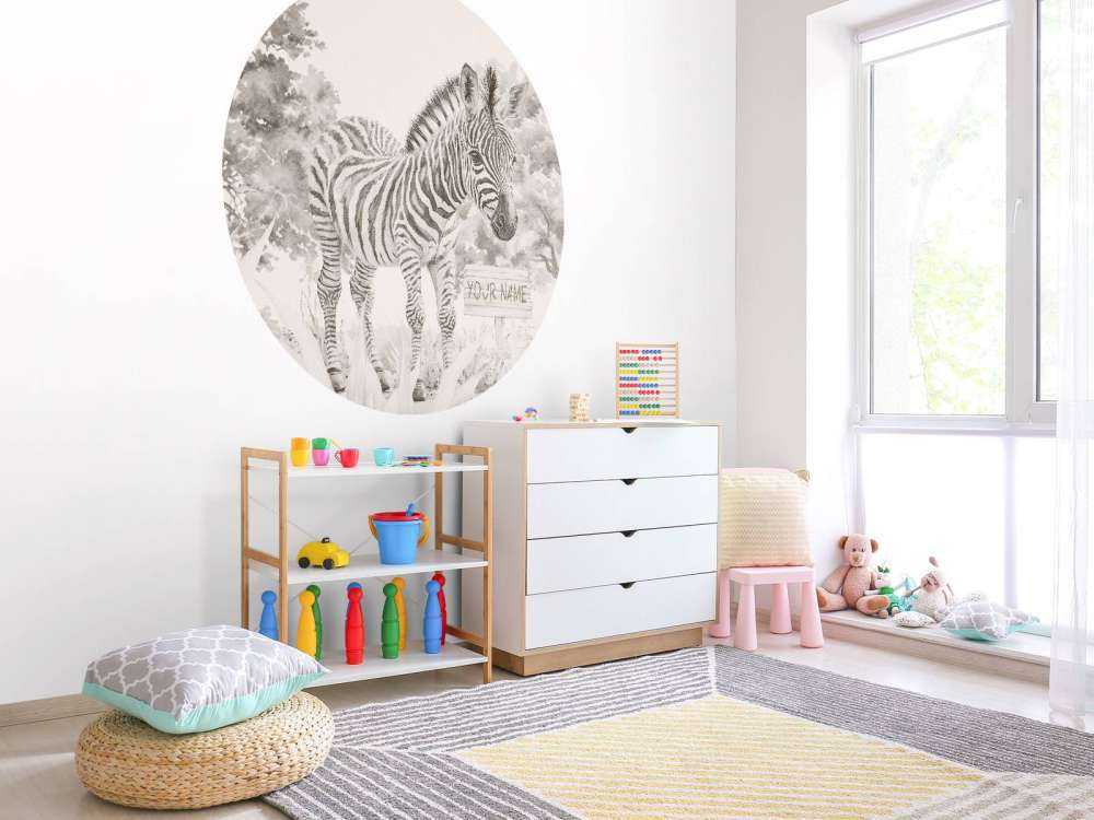 Young zebra in the nature beige