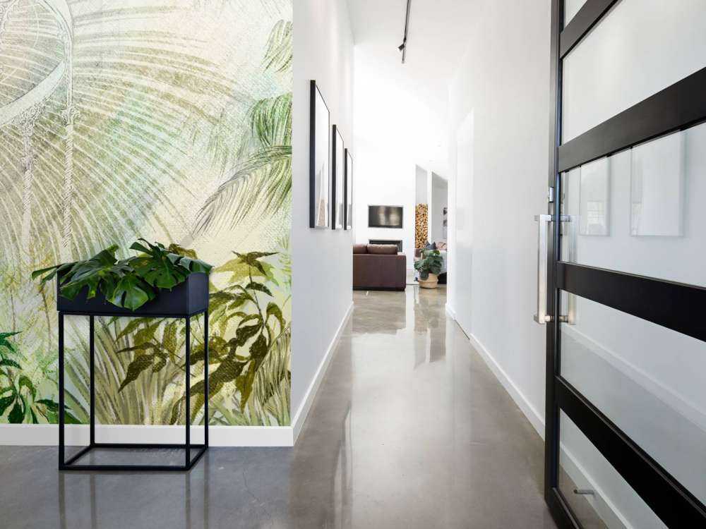 Greenhouse with tropical plants