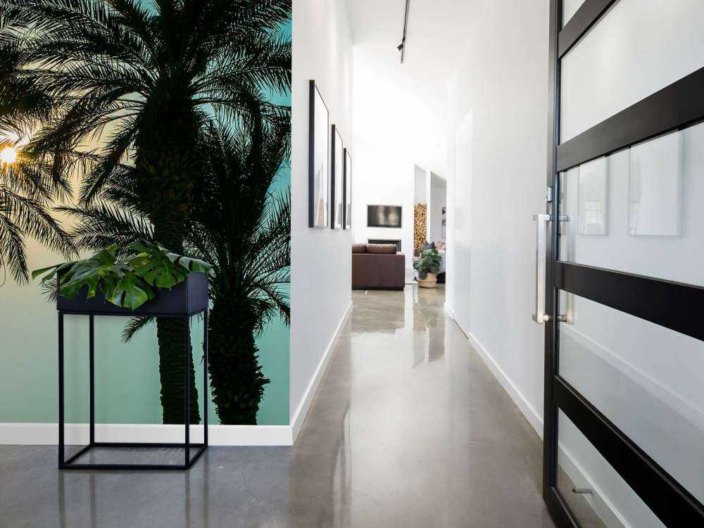 Silhouette of palm trees