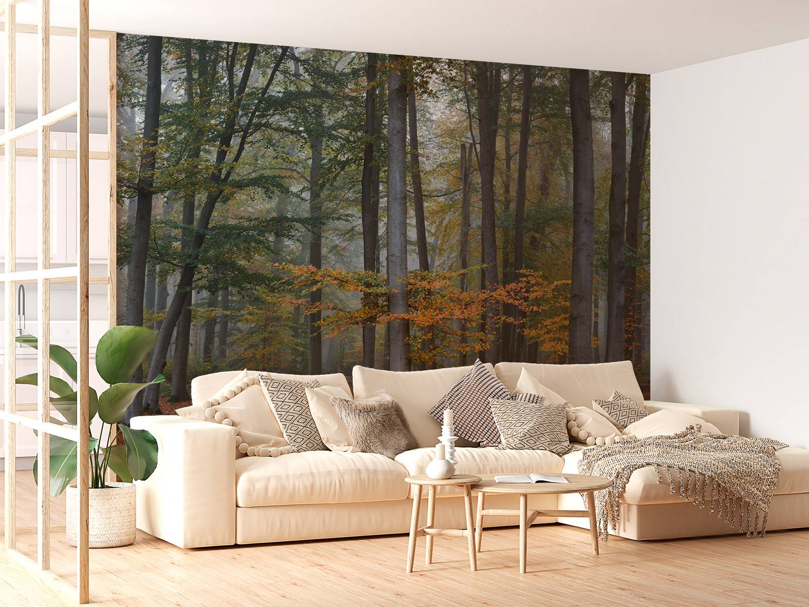 Autumn colours in misty forest