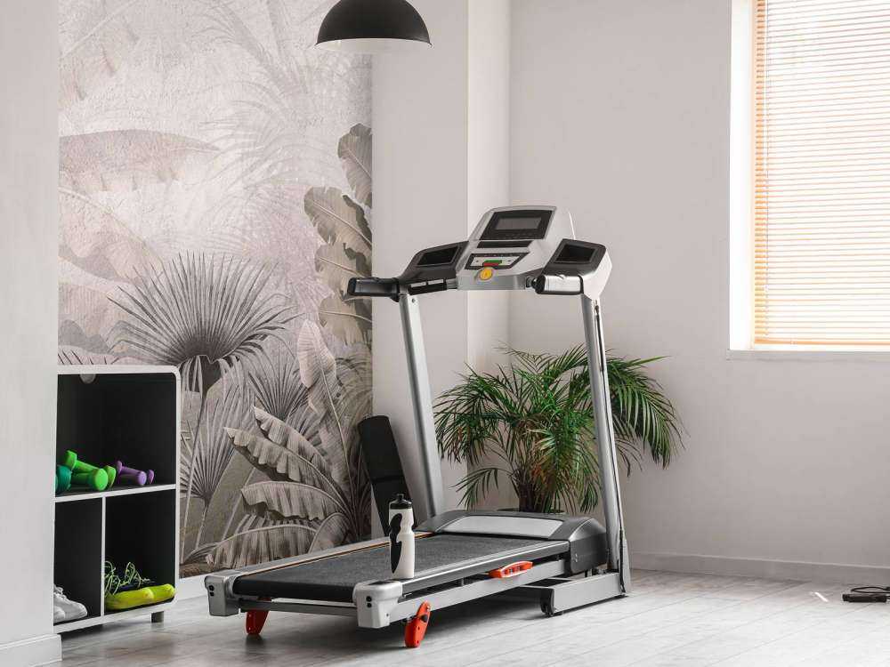 Misty jungle splendor