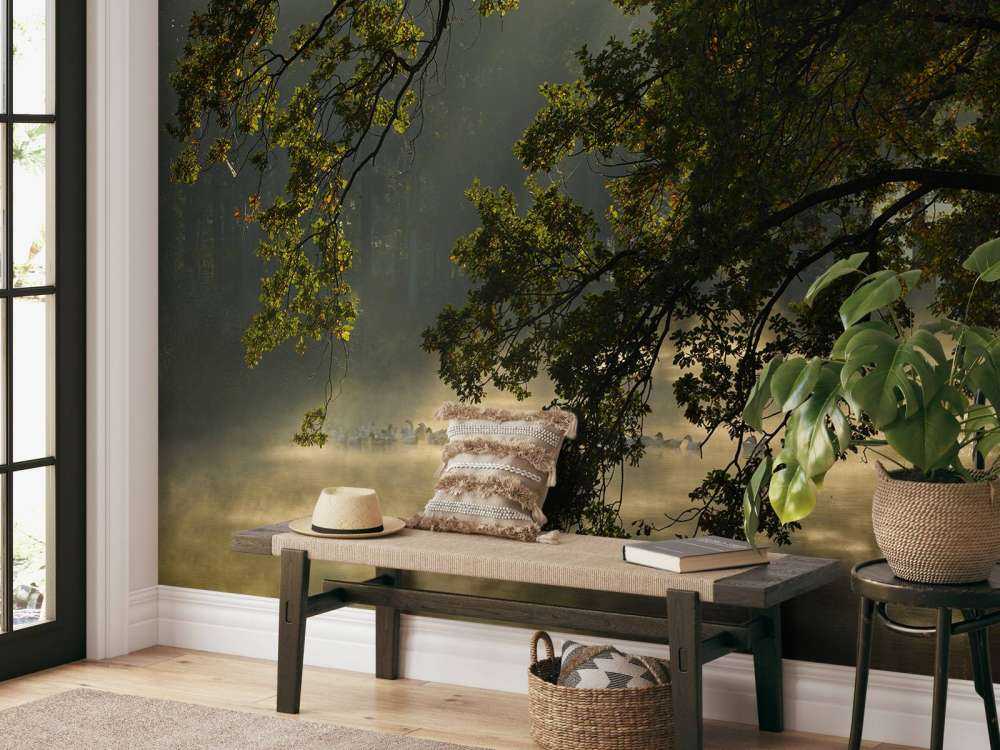 Overhanging branches above the water