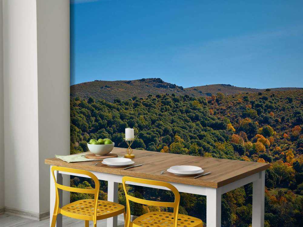 Autumn in the mountains