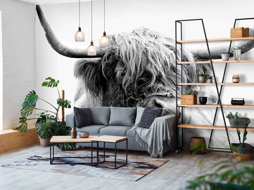 Funny Scottish Highlander