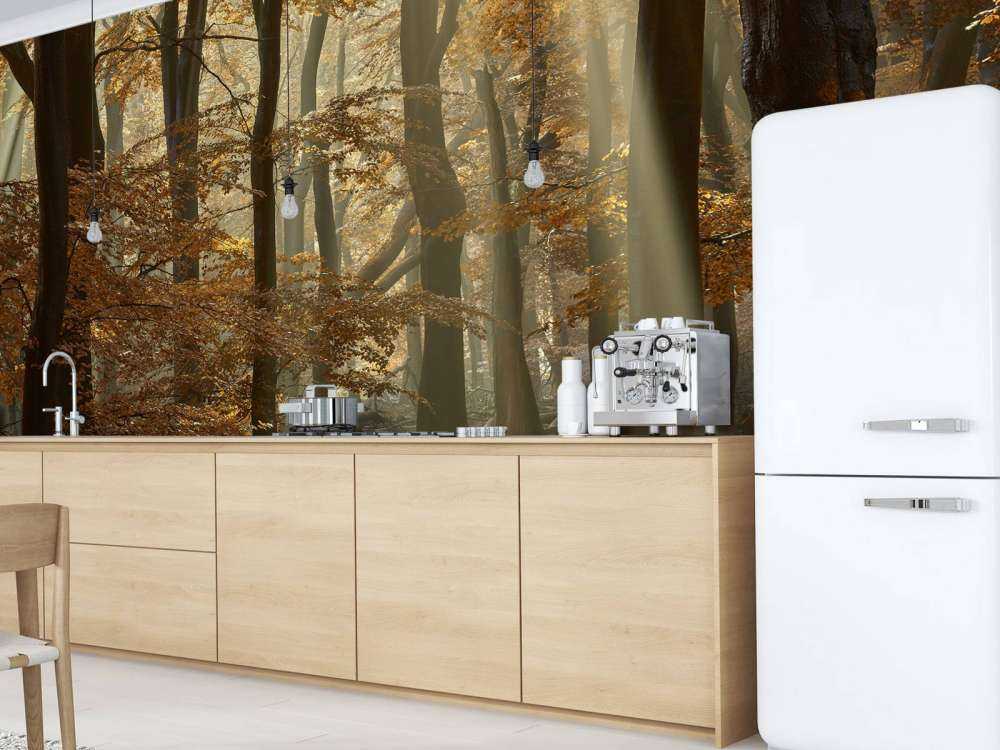 Autumn colours in the forest