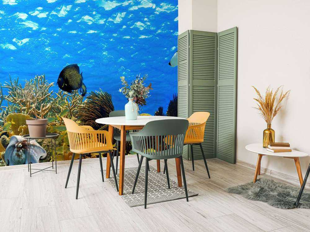 Underwater panorama