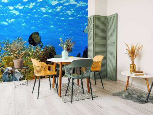 Underwater panorama