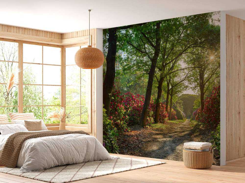 Sunrise at path with rhododendrons