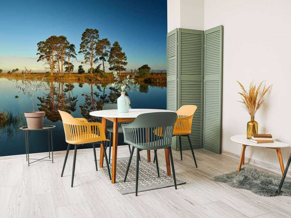 Reflection in forest lake