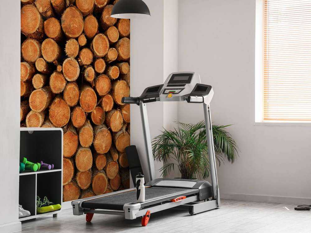 Pile of dark tree trunks