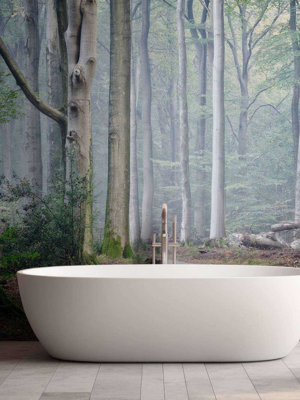 Path through the forest