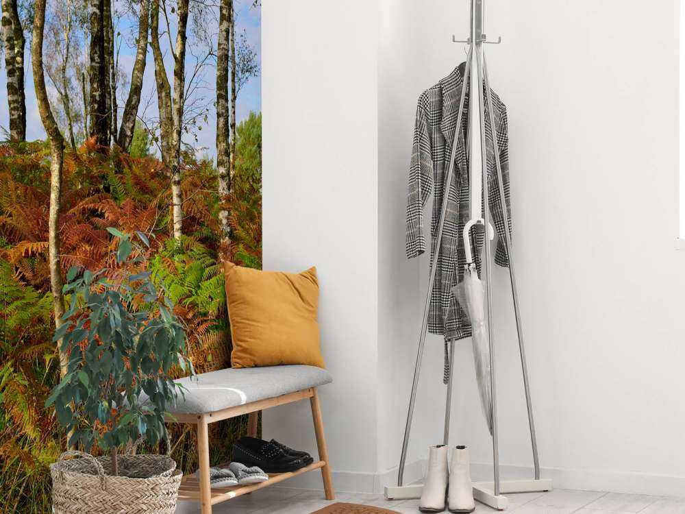 Birches with coloured ferns