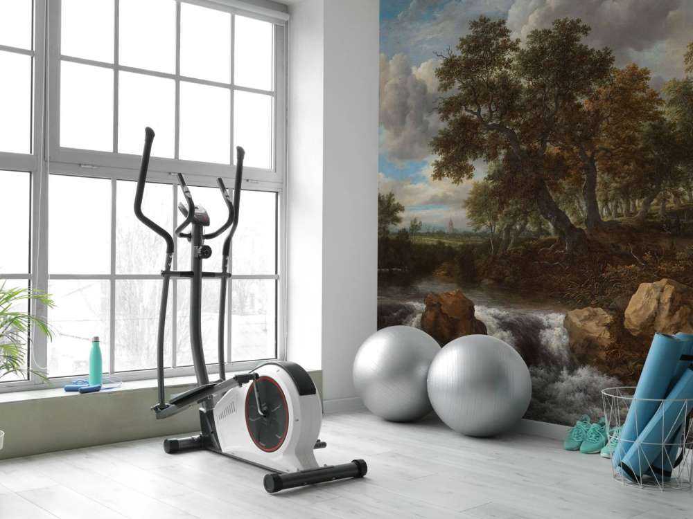 Landscape with waterfall