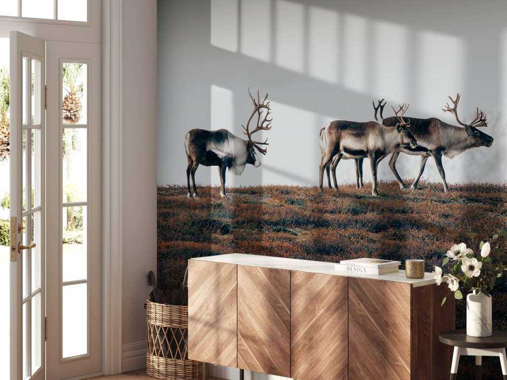 Group of reindeer in northern Europe