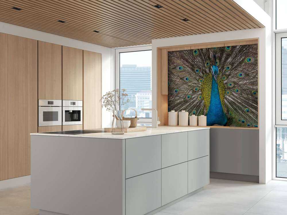 Peacock with stuffed feathers