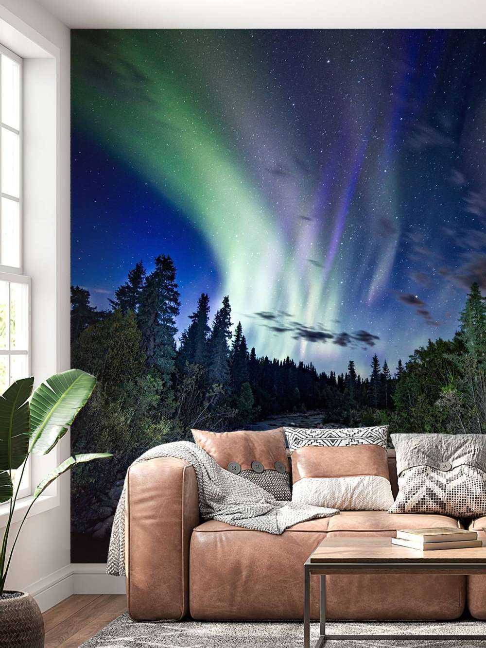 Brooklet during the northern lights