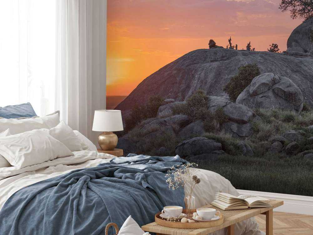 Sunset over the savannah