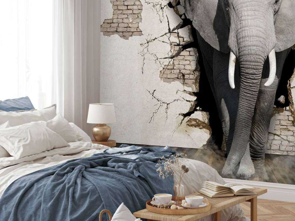 3D Elephant from the wall