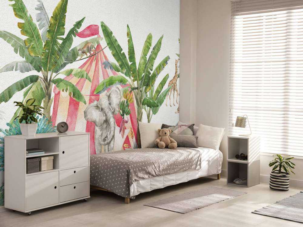 Circus in the jungle