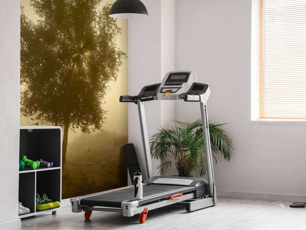 Gold-coloured sunrise