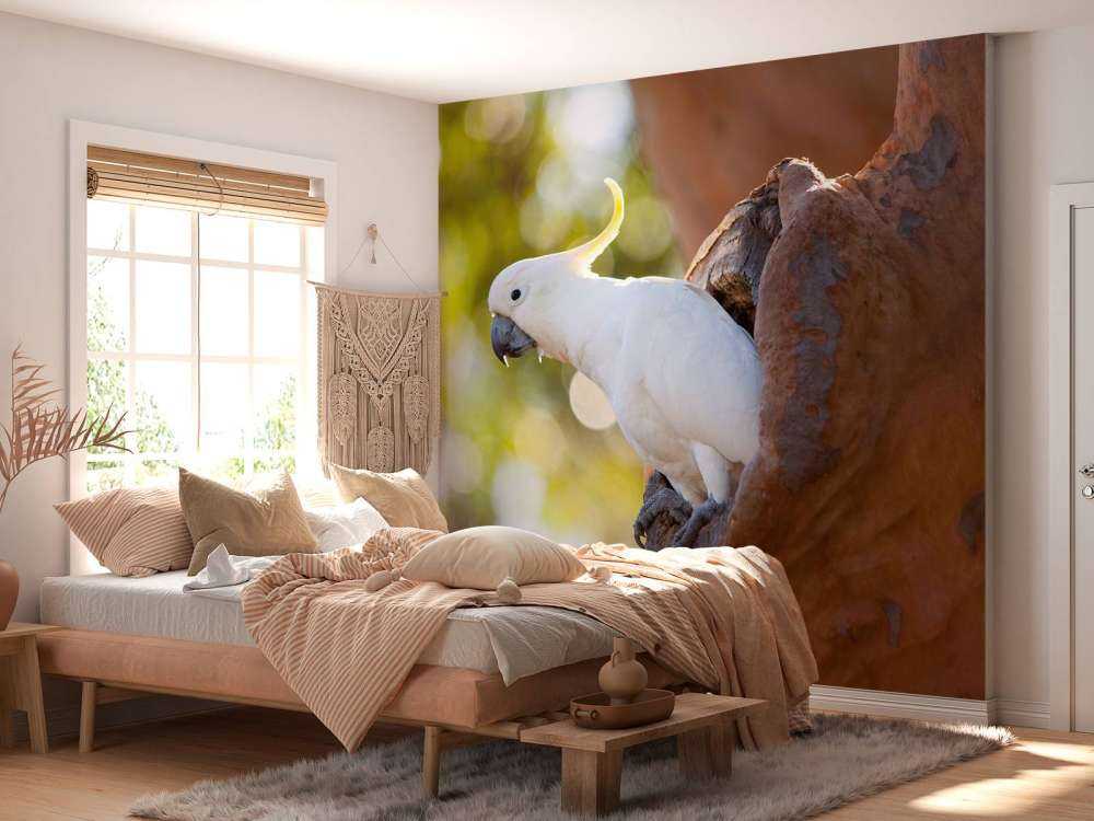 Cockatoo in tree cavity