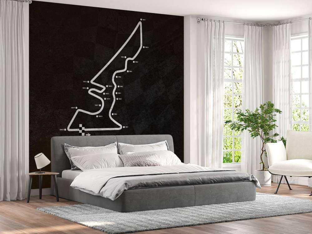 Formule 1 circuit - Circuit Of The Americas - America