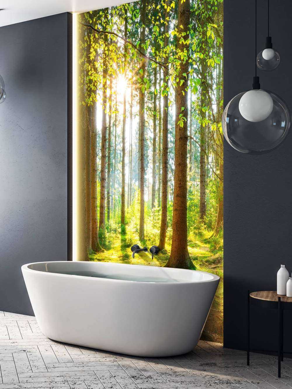 Sunrise in the forest