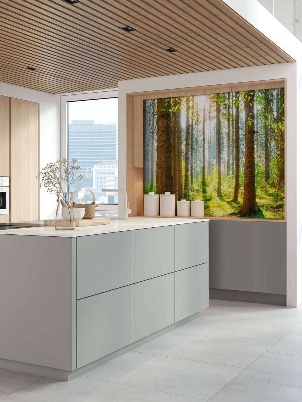 Sunrise in the forest