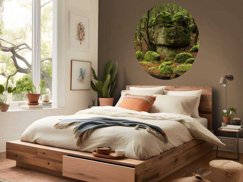 Enchanting forest