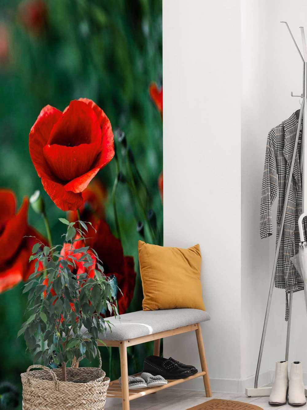 Poppies and grass