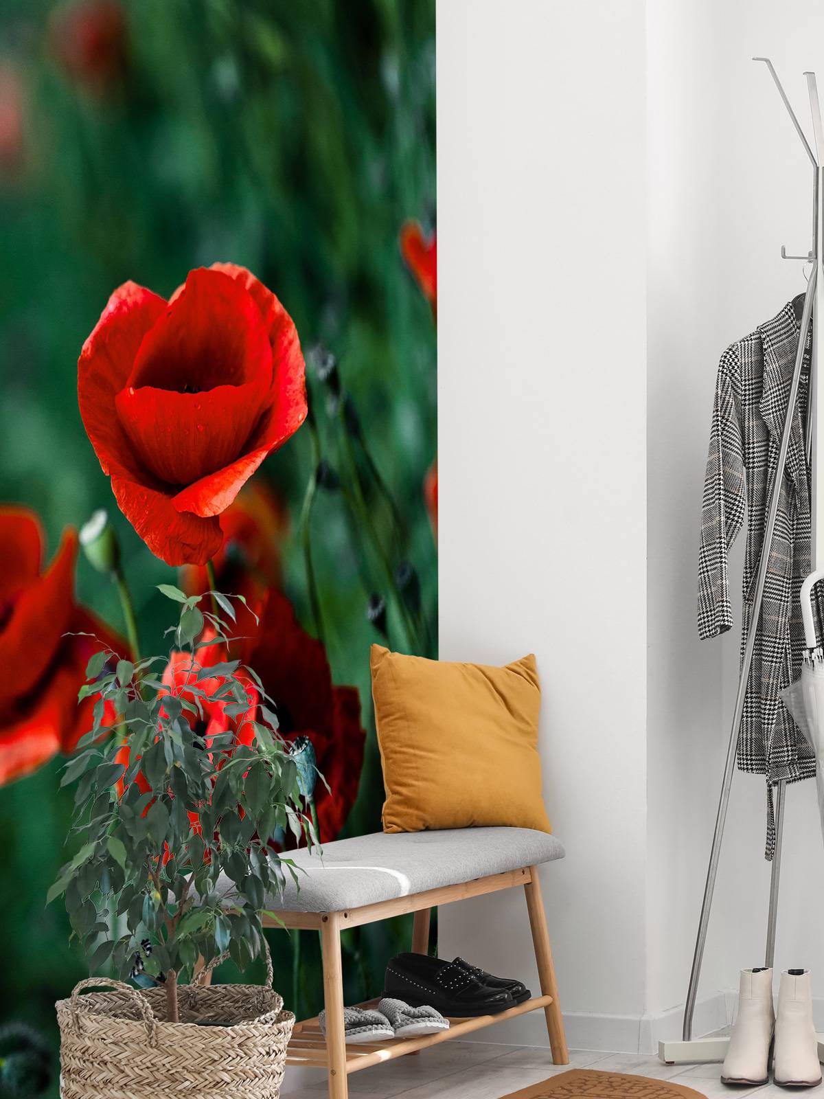 Poppies and grass