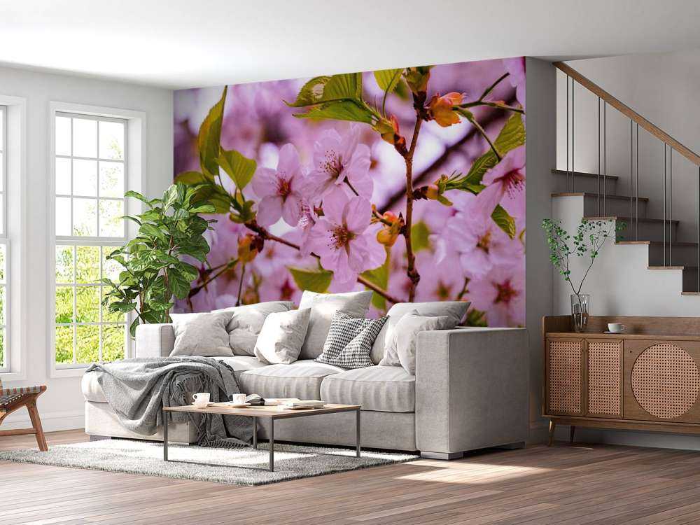 Pink blossoms with petals