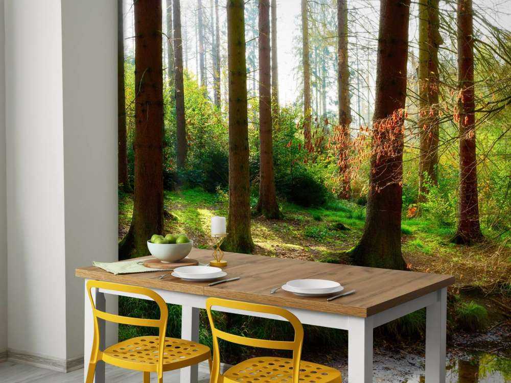 Autumn forest with bright sunlight