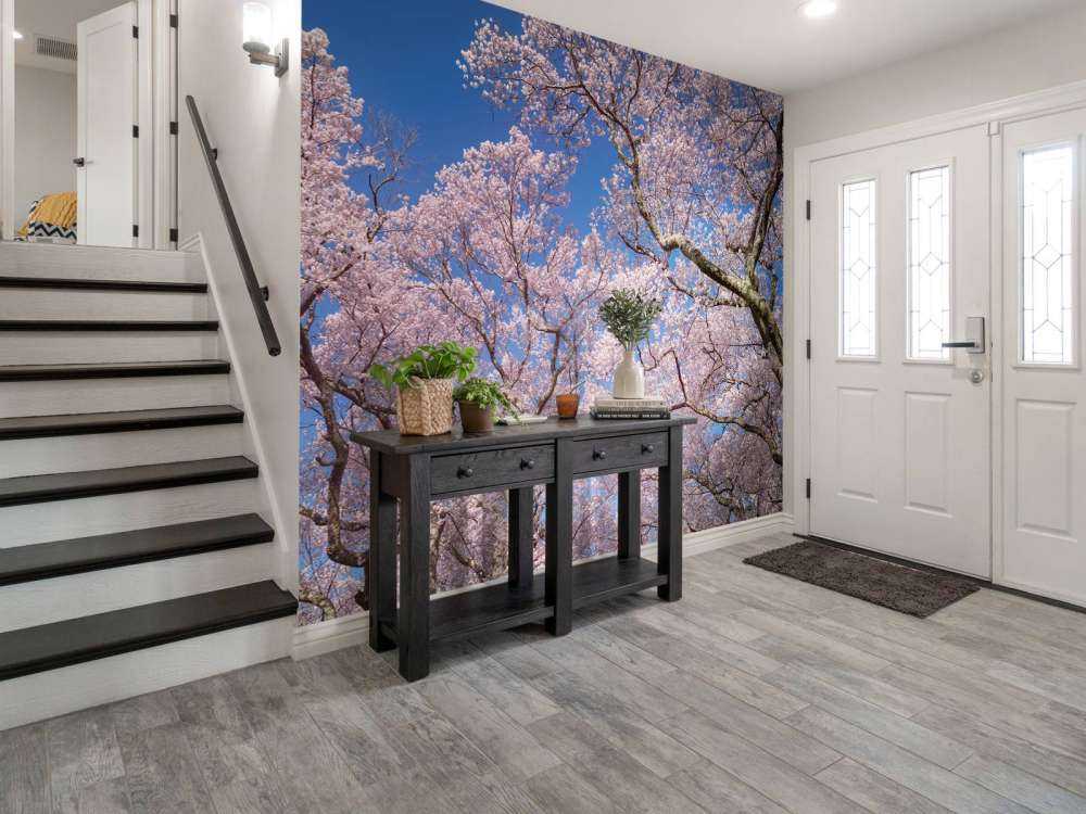 Blossoms with blue sky